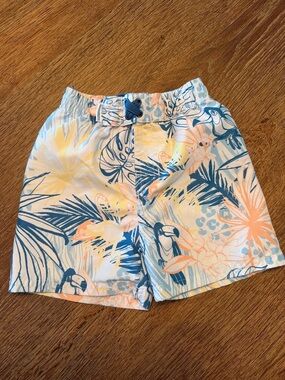 Ruggedbutts Kids Tropical Toucan Swim Trunks in Blue, Peach & Yellow
